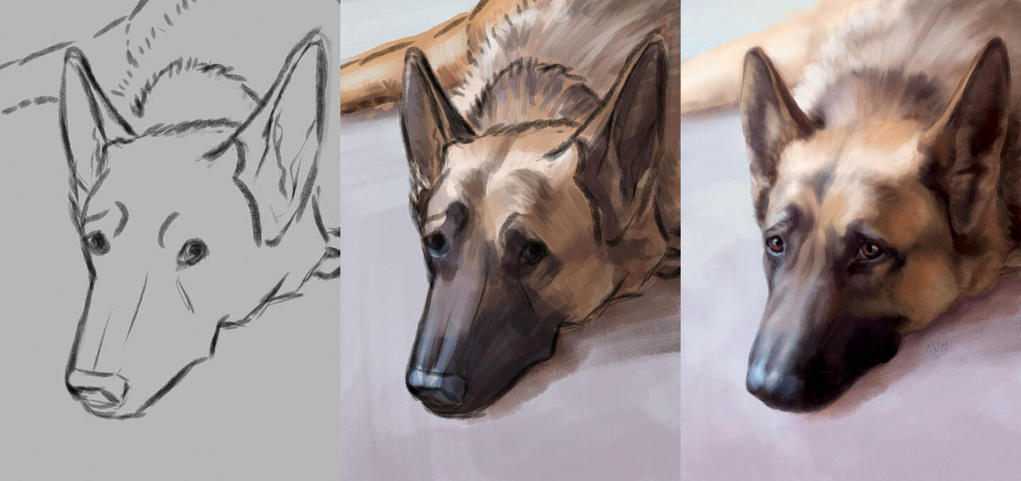 Sample illustration process