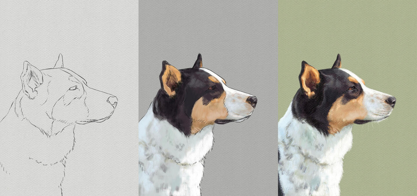 Sample illustration process