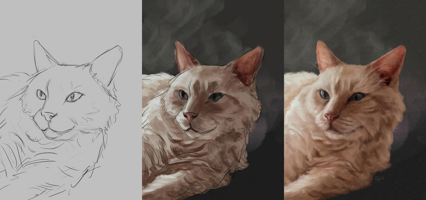 Sample illustration process